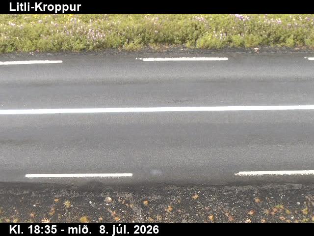 Snapshot from Litli-Kroppur — Litli-Kroppur niður á veg