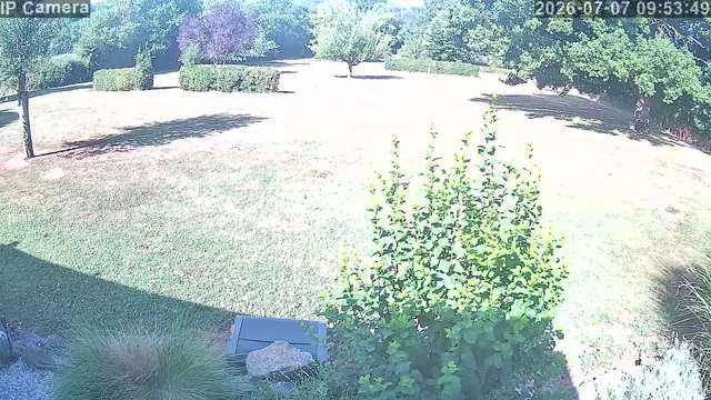 Screenshot from 90.33.251.47:554