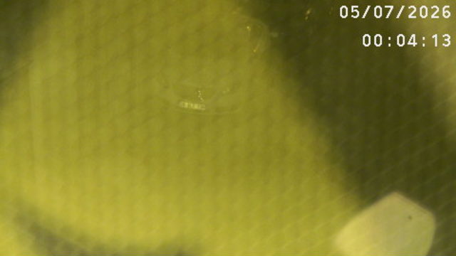 Screenshot from 5.26.172.20:9000