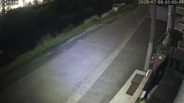 Screenshot from 124.255.242.16:554