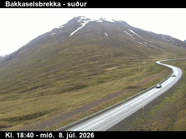 Snapshot from Bakkaselsbrekka — Bakkaselsbrekka til suðurs