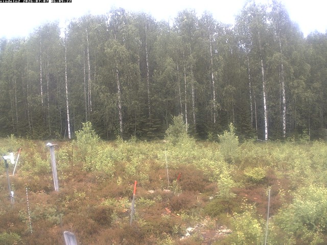 Screenshot from 193.10.98.18:80