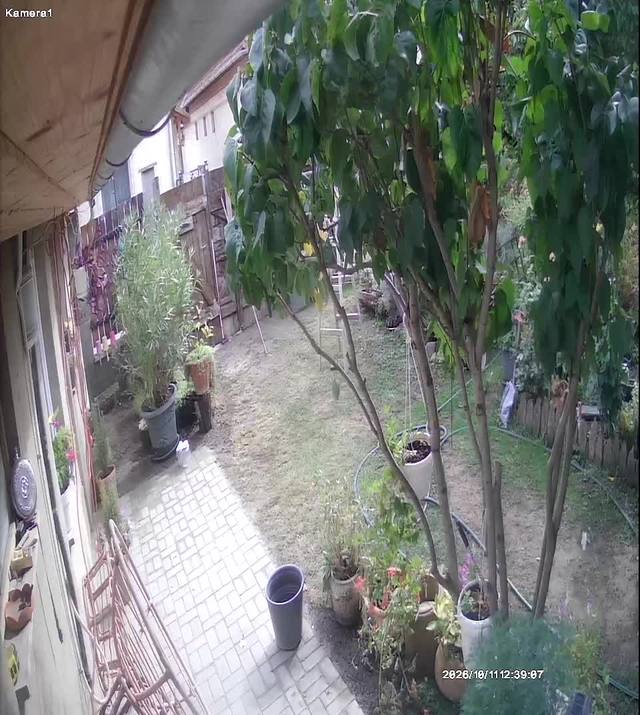 Screenshot from 88.132.85.218:554