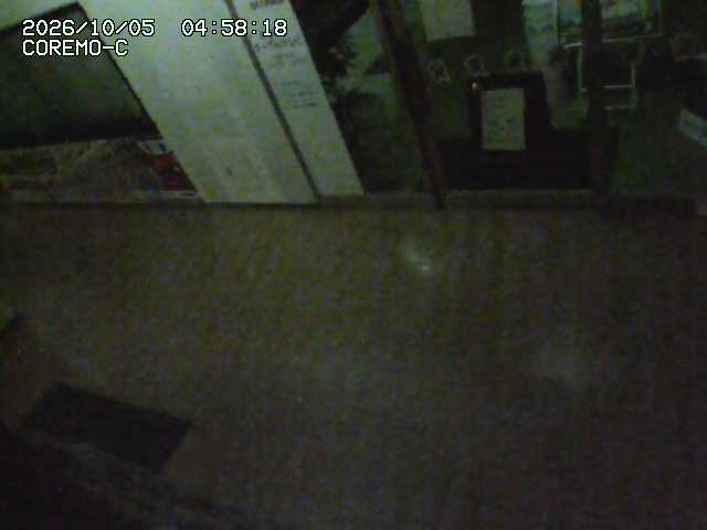 Screenshot from 157.66.72.10:1970