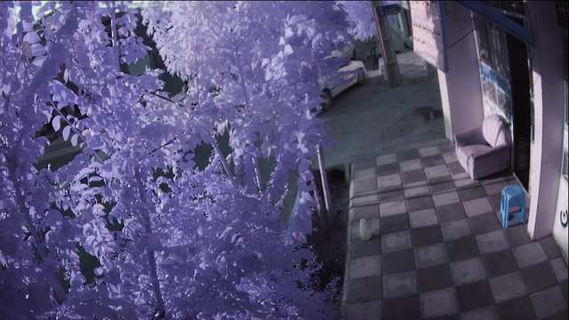 Screenshot from 80.191.165.111:80