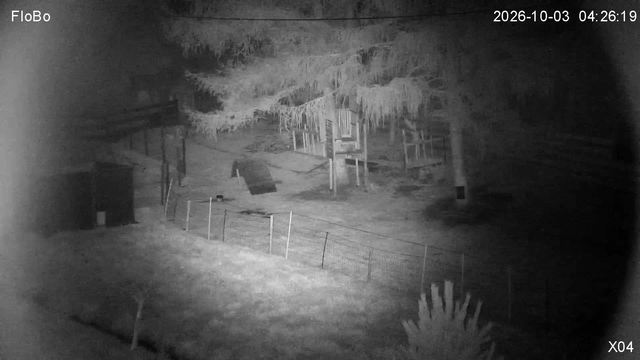 Screenshot from 62.227.101.135:10554