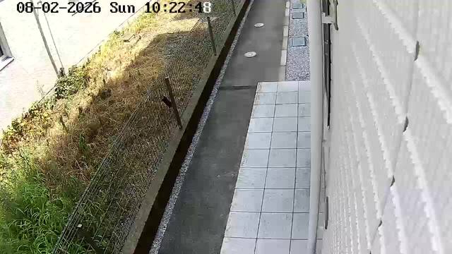 Screenshot from 119.105.90.175:554