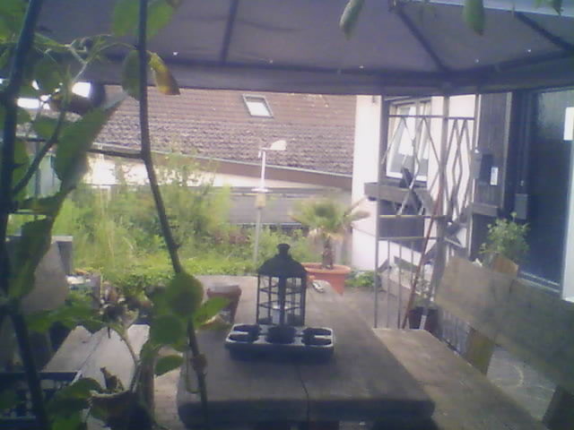 Screenshot from 77.236.113.49:6080