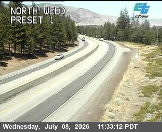 Snapshot from North Weed
