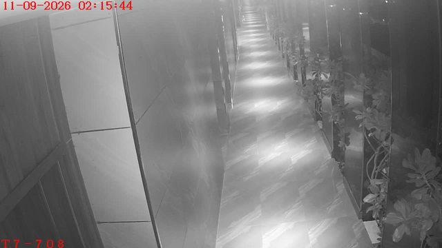 Screenshot from 171.243.186.251:554