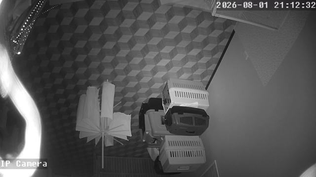 Screenshot from 210.165.210.49:554