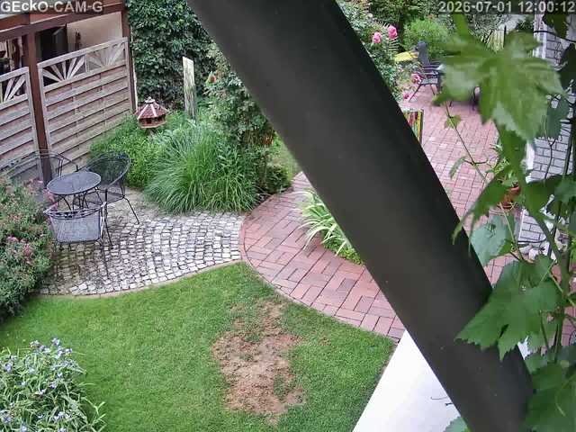 Screenshot from 109.250.165.140:554