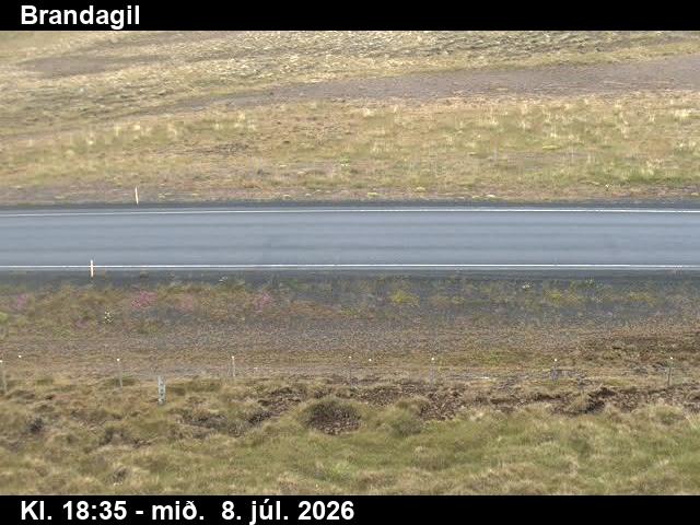 Snapshot from Brandagil — Brandagil niður á veg