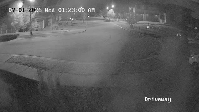 Screenshot from 96.52.45.38:554