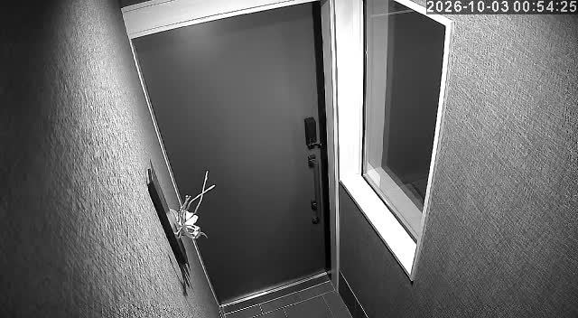 Screenshot from 125.31.94.211:554