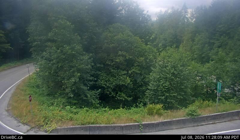 Snapshot from Herrling Island Overpass - W