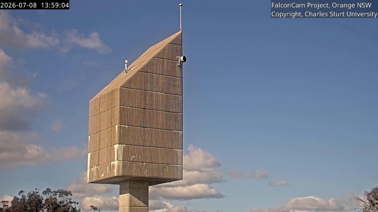 Thumbnail for Tower cam FalconCam