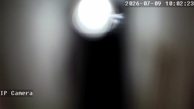 Screenshot from 102.42.206.186:554