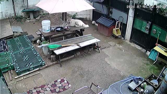 Screenshot from 218.55.157.208:554