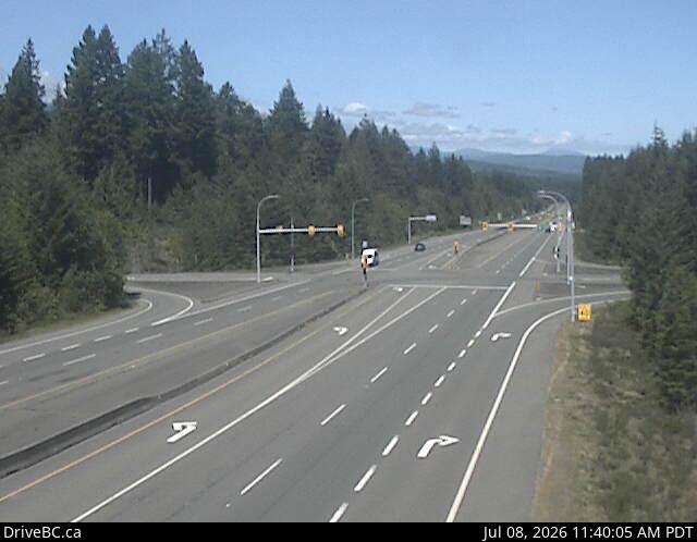Snapshot from Cook Creek Road