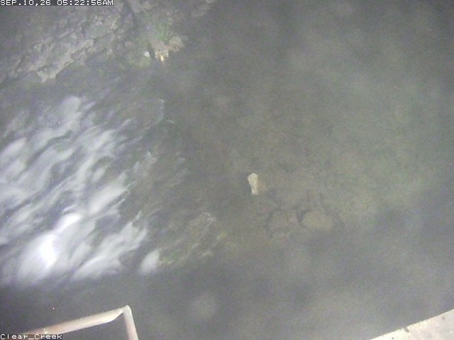 Screenshot from 209.124.145.124:82