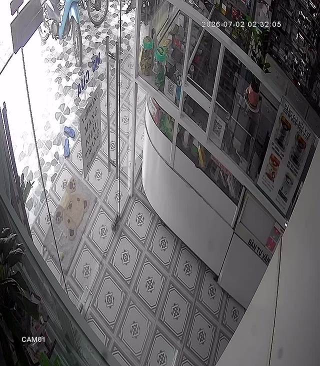 Screenshot from 123.28.179.251:554