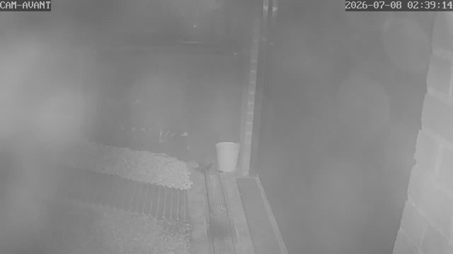 Screenshot from 87.67.184.183:554