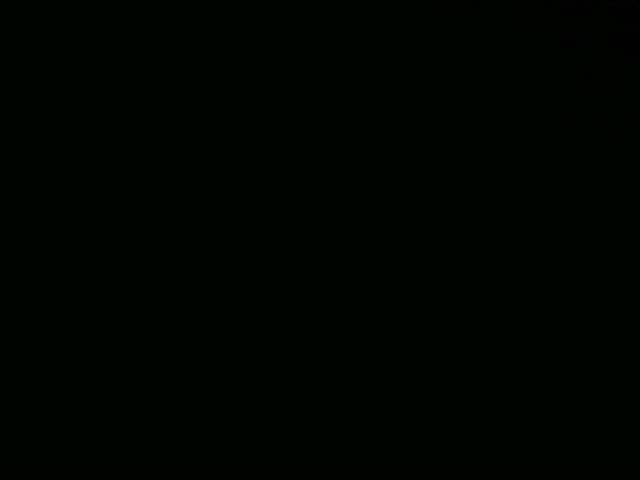 Screenshot from 184.57.102.6:5800