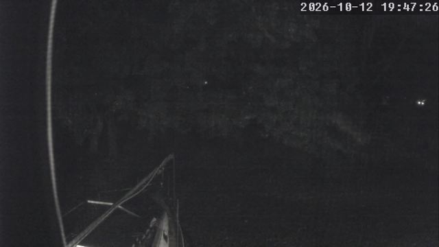 Screenshot from 207.60.217.212:554
