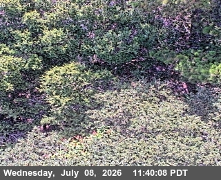 Snapshot from TV451 -- SR-92 : AT RALSTON AV