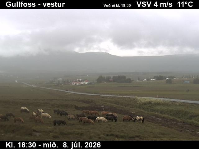 Snapshot from Gullfoss — Gullfoss séð í vestur