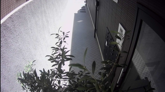 Screenshot from 202.162.152.84:80