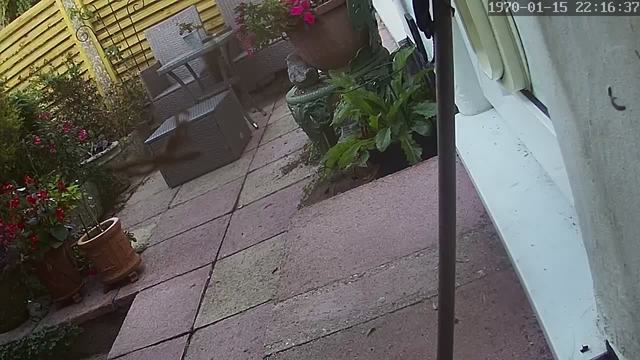 Screenshot from 86.140.141.147:554