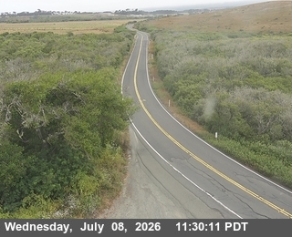 Snapshot from SR-1 : Gasker Slough - Looking North (CXXX)