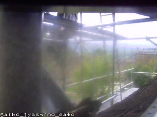 Snapshot from iyashi-webcam.st.wakwak.ne.jp