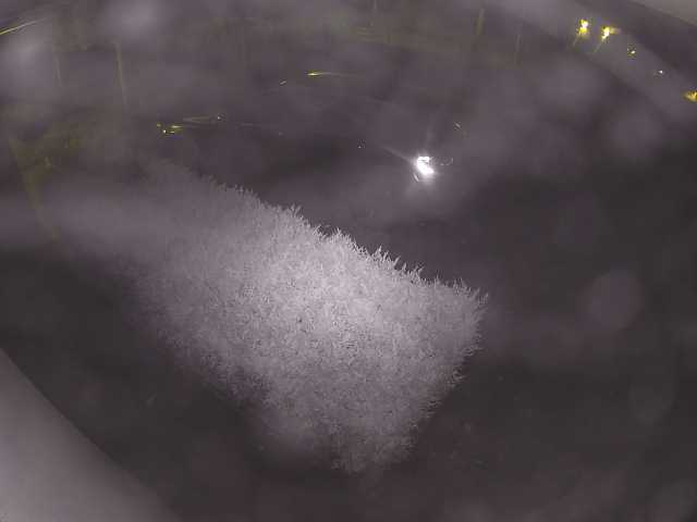 Screenshot from 62.195.171.66:8081