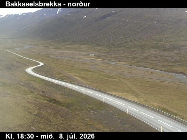 Snapshot from Bakkaselsbrekka — Bakkaselsbrekka til norðurs