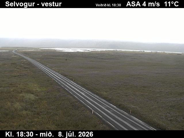 Snapshot from Selvogur — Selvogur til vesturs