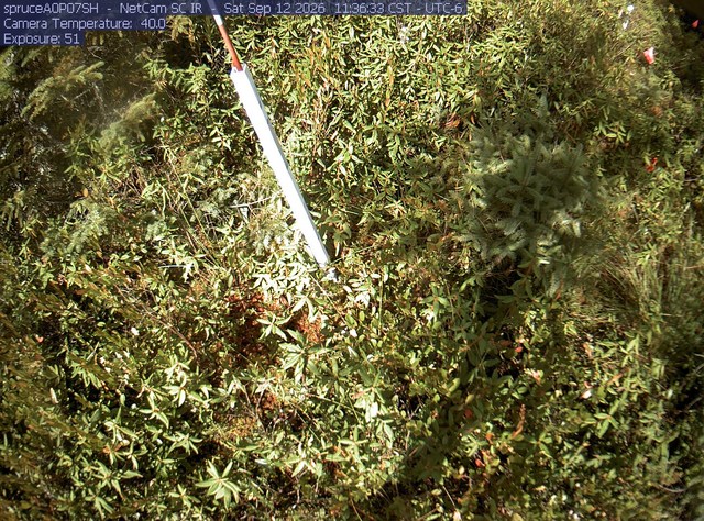 Screenshot from 205.149.147.145:80