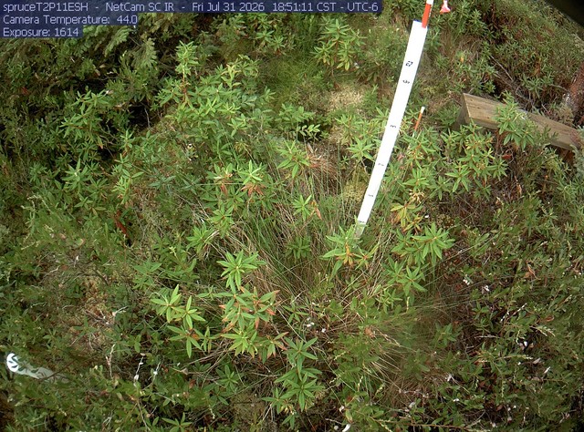 Screenshot from 205.149.147.151:80
