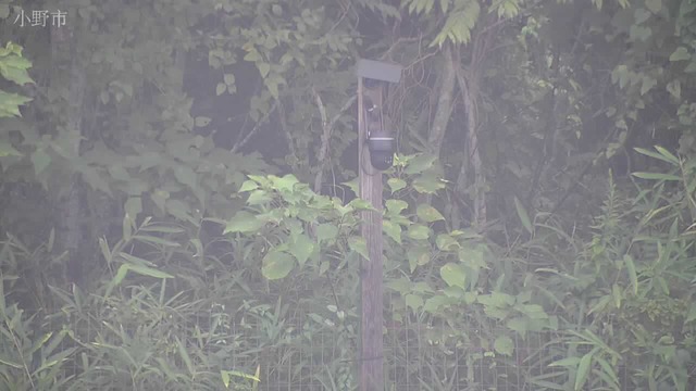 Screenshot from 202.216.1.24:83