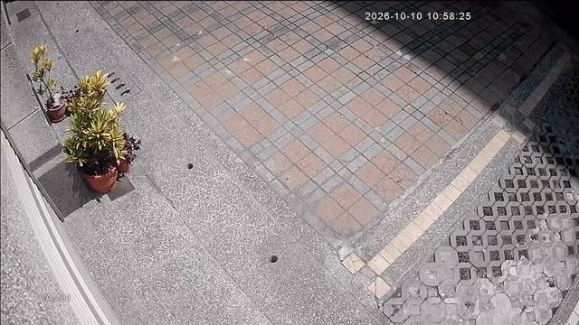 Screenshot from 220.132.241.211:554