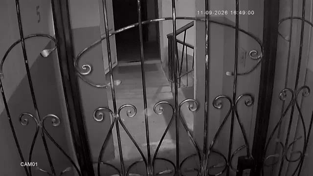 Screenshot from 93.175.210.16:554