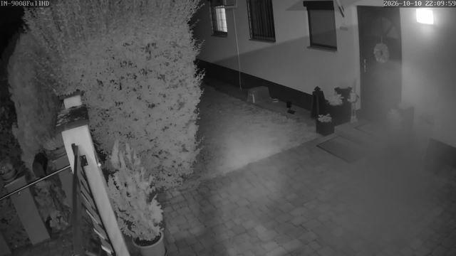 Screenshot from 82.218.212.194:554