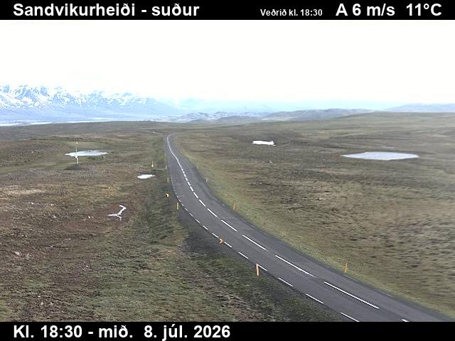 Snapshot from Sandvíkurheiði — Sandvikurheiði séð til suðurs
