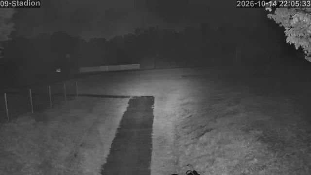 Screenshot from 92.217.75.193:554