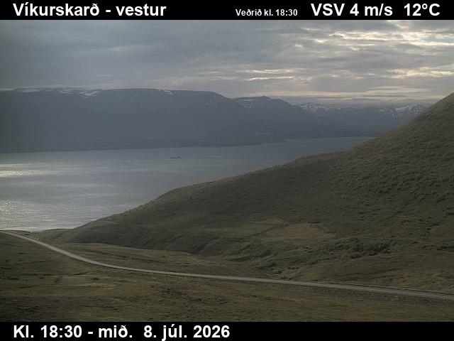 Snapshot from Víkurskarð — Víkurskarð séð til vesturs