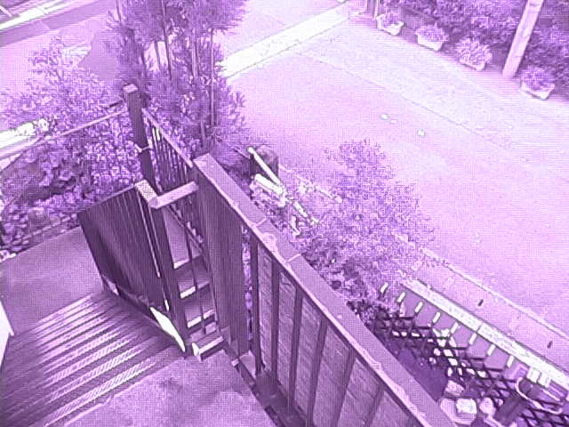 Screenshot from 122.197.248.24:60001