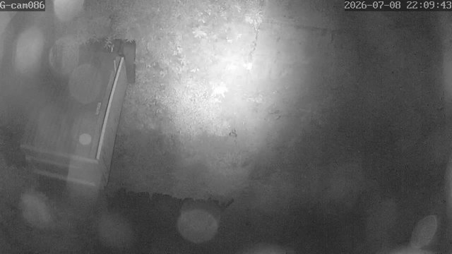Screenshot from 210.142.119.241:554