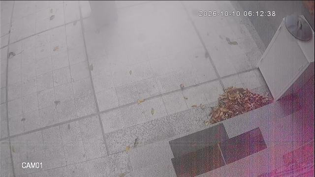 Screenshot from 178.173.144.120:554